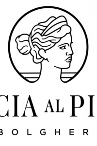 Caccia-al-Piano-9060