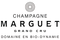 Champagne Benoît Marguet