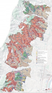 large-beaujolais-soils-map