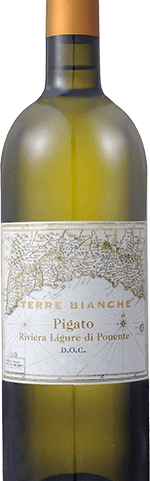 Terre Bianche – Riviera Ligure di Ponente Pigato